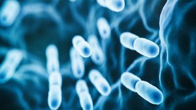 Illustration of bacteria under magnification